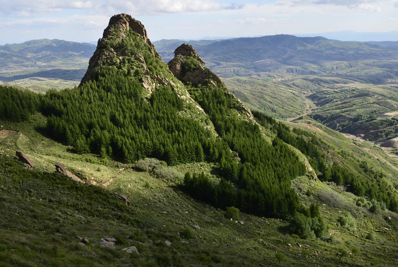 神頭山