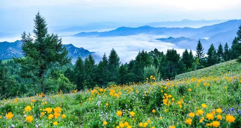 駝梁風(fēng)景區(qū)美景