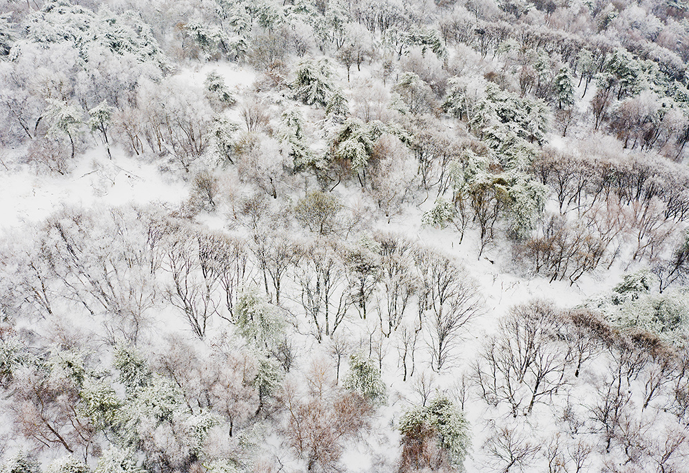 太行龍泉驟降春雪 青山林海銀裝素裹【6】